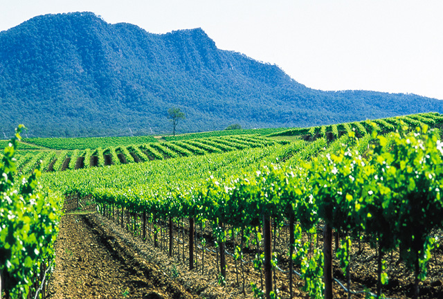 Hunter Valley tours from Sydney