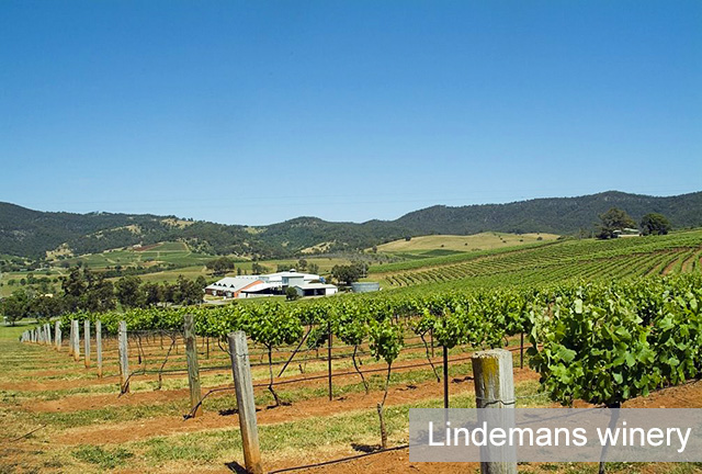 Lindemans Wines winery Hunter Valley